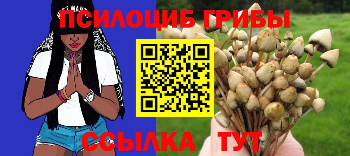 Псилоцибиновые грибы Cubensis Карталы